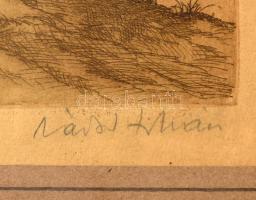 Zádor István (1882-1963): Halász. Színezett rézkarc, papír, jelzett, üvegezett fakeretben, 35×21,5 c...