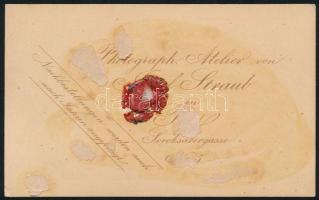 cca 1875 Gyerekek portréja, keményhátú fotó Straub József pesti műterméből, hátoldalán ragasztás nyo...