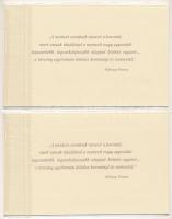 2000. 2000Ft "Millennium" (2x) sorszámkövetők "MM 0013544 - MM 0013545" mindkett...