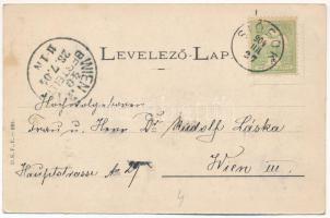 1904 Badacsony, A szőlőt védő munka, permetezés a szőlőhegyen. Balaton Vidéke. D.K.F.E. 891. (EK)