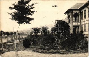 Balatonaliga, Aliga (Balatonvilágos); nyaraló, villa (EK)