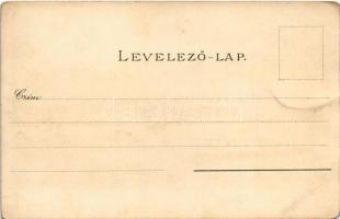 Budapest, Lánchíd, gőzhajó. Kuenstlerpostkarte No. 2073. von Ottmar Zieher Kunstanstalt litho s: Rao...