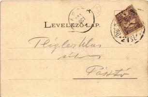 1901 Fülek, Filakovo; vár. Fénynyomat Divald műintézetéből / Filakovsky hrad / castle (fl)