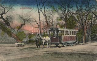 Budapest Margitsziget Lóvasút