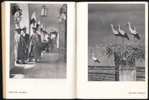 1935 Magyar fotó almanach. A magyar fotografálás évkönyve. Bp.,(1935),"Amatőr Rádió" - Tec...