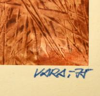 Vara jelzéssel: Absztrakt kompozíció. Vegyes technika, papír. Üvegezett fakeretben. 20x28,5 cm