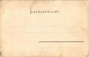 Zalatna, Zlatna; 1848-as Preszákai emlékszobor. Folberth Vilmos kiadása / Hungarian military monumen...