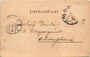 1901 Nagyenyed, Aiud; Alsó-Fehér vármegye székháza, vármegyeháza. Winkler János kiadása / county hal...