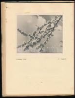 1937 Catalogue of the Hammersmith Hampshire House Photographic Society's 22nd annual exhibiton ...