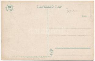 Beregvár, Karpaty, Karpati (Szentmiklós, Beregszentmiklós, Cinadievo, Chynadiyovo); Schönborn kastél...