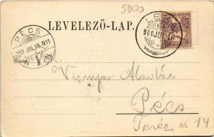 1900 Léka, Lockenhaus; Schloß und Ruine / Léka vára / castle (EK)