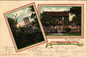 1905 Tarcsa, Bad Tatzmannsdorf; Bányai vár és Vogelsang Villa. Löwy Gusztáv és testvére kiadása, magyar szalagos keret / Schloss / castle, villa. Hugarian ribbon , Art Nouveau (EK)