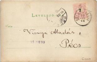 1899 (Vorläufer) Selmecbánya, Schemnitz, Banská Stiavnica; Üdvözlet Szitnyáról. Pocsuvadlói tó (Bacs...