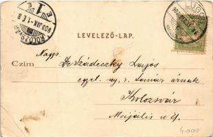 1903 Lugos, Lugoj; Temes híd. Auspitz Adolf kiadása / Timis bridge (EB)