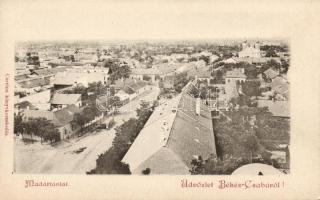 Békéscsaba zsinagógával