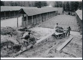 cca 1958 Manufakturális téglagyár az Alföldön, Kalocsai Rudolf (?-?) budapesti fotóriporter és fotóm...