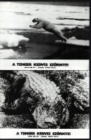 cca 1977 ,,A tenger kedves szörnyei" című olasz film jelenetei és szereplői, 11 db vintage produkciós filmfotó ezüst zselatinos fotópapíron, a használatból eredő (esetleges) kisebb hibákkal, 18x24 cm