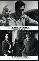 cca 1968 előtt készült a ,,Társtalanul" című csehszlovák film jelenetei és szereplői, 11 db vin...