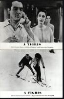 cca 1967 ,,A tigris" című olasz film jelenetei és szereplői, 13 db vintage produkciós filmfotó ...