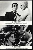 cca 1967 ,,A tigris" című olasz film jelenetei és szereplői, 13 db vintage produkciós filmfotó ...