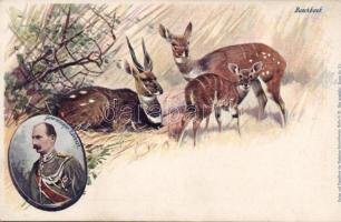 Generalmajor Liebert, German-Afrika