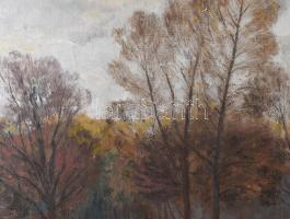 Szlányi Lajos (1869-1949): Őszi táj. Olaj, vászon, kartonon, jelzett. Dekoratív fakeretben, 42×55 cm