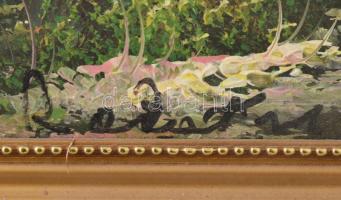 Olvashatatlan jelzéssel: Hegyvidéki táj. Olaj, vászon. Dekoratív fakeretben. 40x50 cm