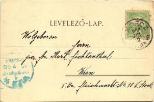 1900 Lédec, Lédecz, Ladce; Schloss / kastély / castle. Art Nouveau, floral (vágott / cut)