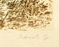 Reich Gábor (1951-): Fenyőszajkó. Rézkarc, papír. Jelzett. Számozott: 78/100. Üvegezett fakeretben. ...