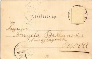 1904 Budapest I. Királyi vár a Naphegyről (EK)