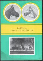 cca 1960-1970 Bábolnai arab lótenyésztés, fekete-fehér képekkel illusztrált ismertető prospektus, a lap széle minimálisan sérült, 2 sztl. lev.