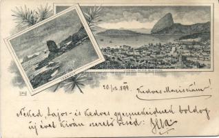 1899 Rio de Janeiro