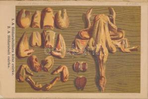 Kovács Teréz: Szegedi képes szakácskönyv. 4 színnyomattal és 100-nél több finom fametszettel. Szeged...