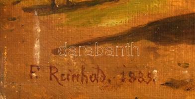 Franz Xaver Reinhold (1816-1893): Seebenstein várának udvara, 1885. Olaj, vászon. Jelezve balra lent...