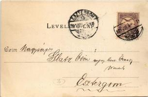 1901 Szekszárd, Szegzárd szálloda és kávéház. Fischhof Mór kiadása (EK)