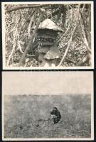 Kankovszky Ervin (1884-1945): Afrikai életképek, 4 db jelzés nélküli fotó, 8,5×11,5 és 15×12 cm közö...