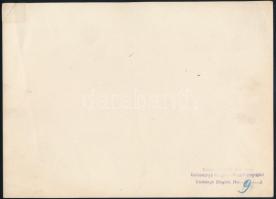 Kankovszky Ervin (1884-1945): Vadász vadkannal, pecséttel jelzett fotó, sarka sérülüt, 17×23 cm