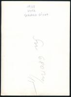 1968 nyár, stranddivat, sajtófotó, 18×13 cm