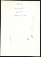 1966 Modell Rotschild Klára által tervezett ruhában, sajtófotó, 18×13 cm