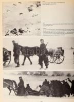 Robert Kershaw: Háború virágfüzérek nélkül. A Barbarossa-hadművelet, 1941-42. (Debrecen, 2002), Gold...