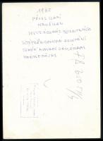 1965 Pável Kati manöken a Luxusáruház bemutatóján, feliratozott sajtófotó, 18×13 cm