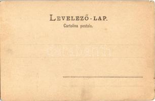 1900 Fiume, Rijeka; Piazza dell'Erbe / square, market, shops, pharmacy, drugstore (kis szakadás...