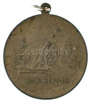 Osztrák-Magyar Monarchia ~1915-1918. "Welt-Krieg 1914-15 / 30'5 Mörser" Zn emlékérem ...