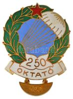 ~1950-1970. Ejtőernyős oktató - 250 ugrás zománcozott bronz sapkajelvény 100/150-es bilétával (51x35mm) T:AU