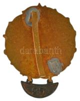 ~1960-1970. "Ejtőernyős" zománcozott bronz sapkajelvény "95/100"-es bilétával (4...