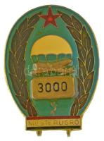 ~1960. Mesterugró 3000 ugrás után járó műgyantás, aranyozott bronz kitüntető teljesítmény sapkajelvény (45x33mm) T:AU