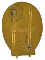 ~1960. "Mesterugró" 3000 ugrás után járó műgyantás, aranyozott bronz kitüntető teljesítmén...