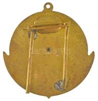 1980. "Flottilla 35 év, 1945-1980" műgyantás fém (sapka) jelvény füllel (~49x49mm) T:XF pa...