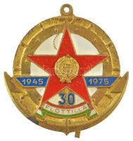 1975. Flottilla 30 év, 1945-1975 műgyantás fém (sapka) jelvény füllel (~49x49mm) T:XF patina Hungary 1975. Flotilla, 30 years 1945-1975 synthetic resined metal (cap) badge with ear (~49x49mm) C:XF patina