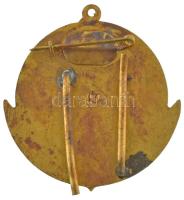 1975. "Flottilla 30 év, 1945-1975" műgyantás fém (sapka) jelvény füllel (~49x49mm) T:XF pa...